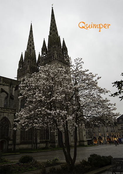 France, Bretagne, Cornouaille, diverses photos de la cathédrale saint Corentin à Quimper